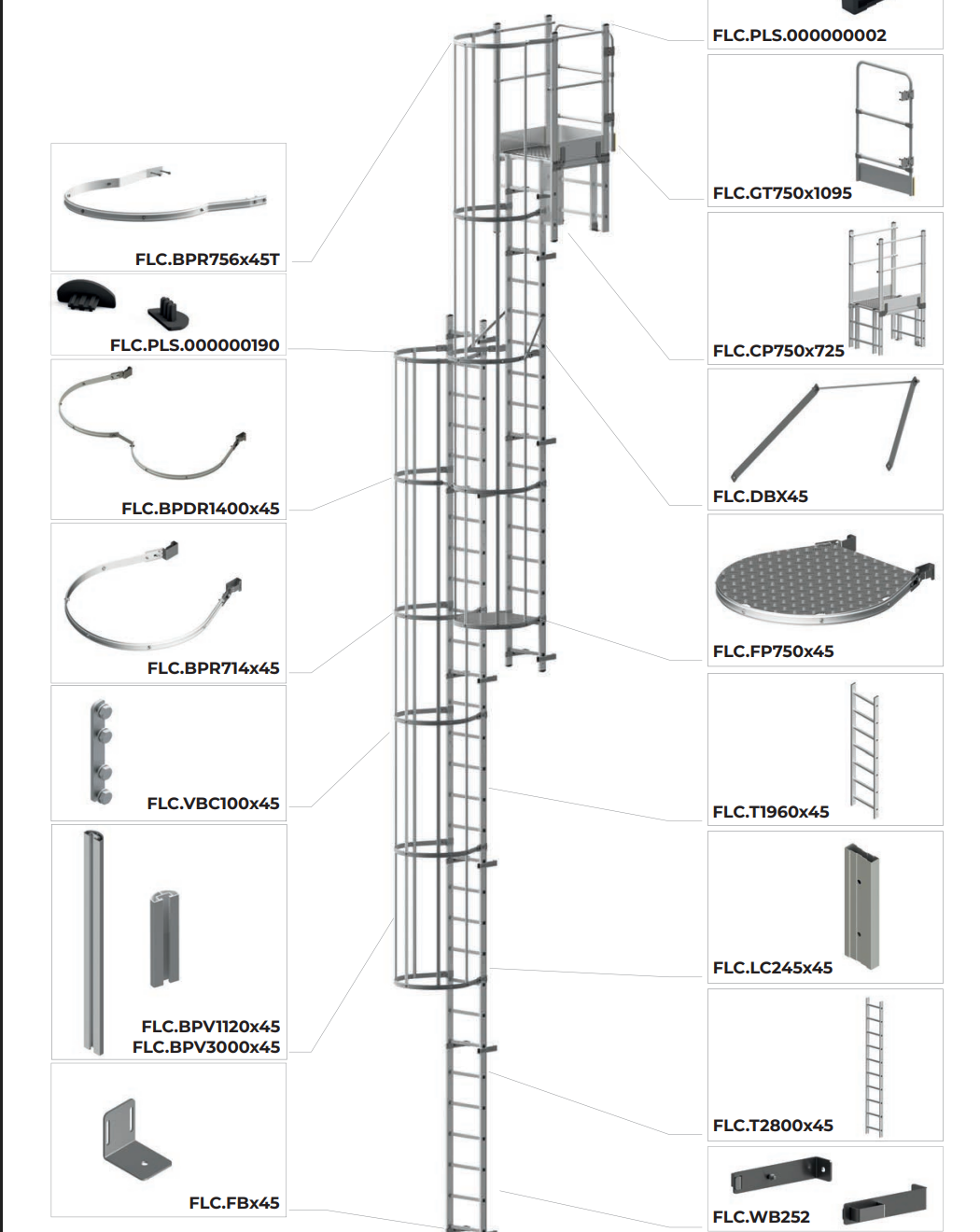 סולם עם כלוב הגנה